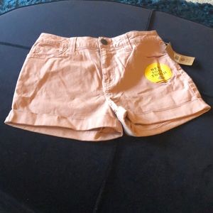 Dickies _ Premium Quality Shorts 🩳